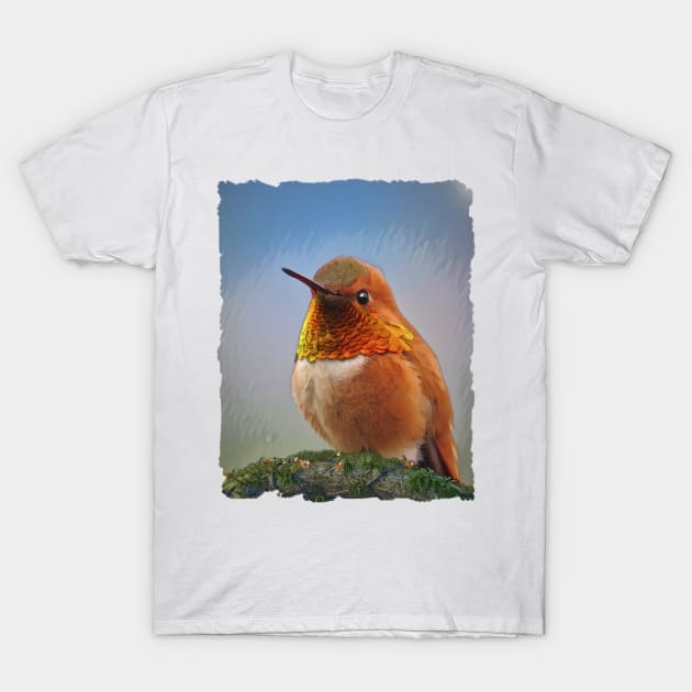 Rufous Hummingbird T-Shirt by PhotoArts